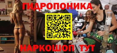 ГАЛЛЮЦИНОГЕННЫЕ ГРИБЫ Свободный