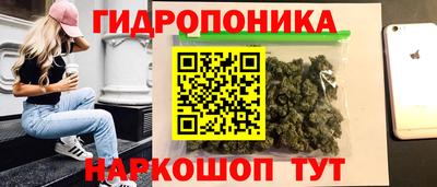 ГАЛЛЮЦИНОГЕННЫЕ ГРИБЫ Свободный