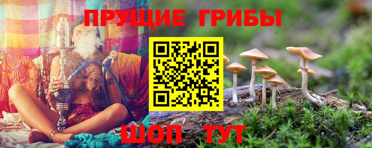 Галлюциногенные грибы MAGIC MUSHROOMS Саянск
